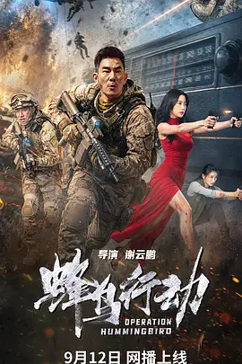 蜂鸟行动
