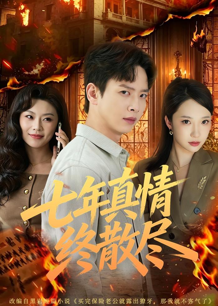 七年真情终散尽第10集